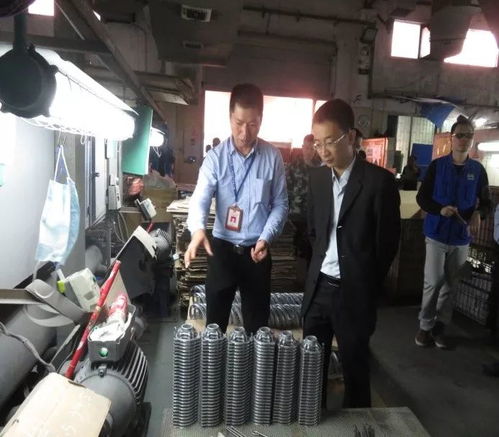 鳳崗鎮(zhèn)開(kāi)展元旦節(jié)前安全檢查，監(jiān)控設(shè)備成關(guān)鍵環(huán)節(jié)